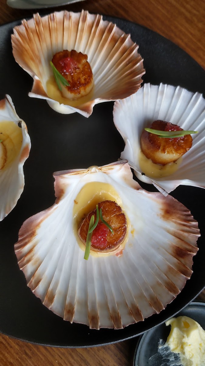 Alium Dining Fine dining restaurant in Bendigo - photo 2