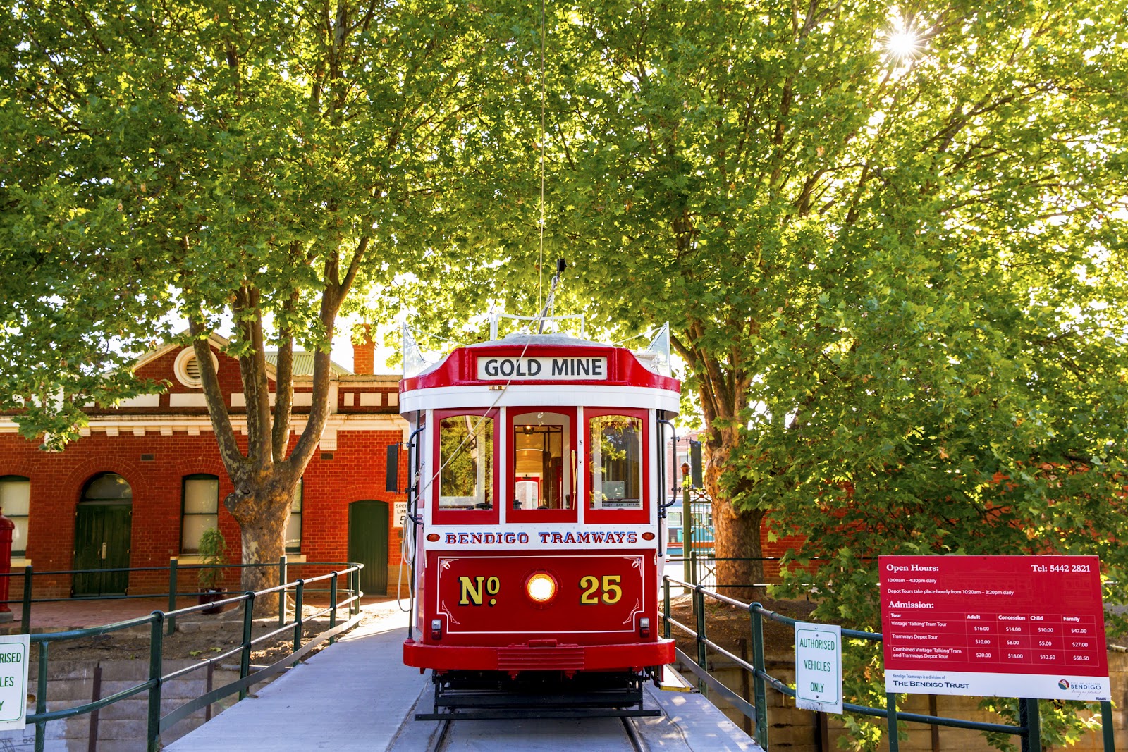 Bendigo Tramways Tourist attraction in Bendigo - photo 3