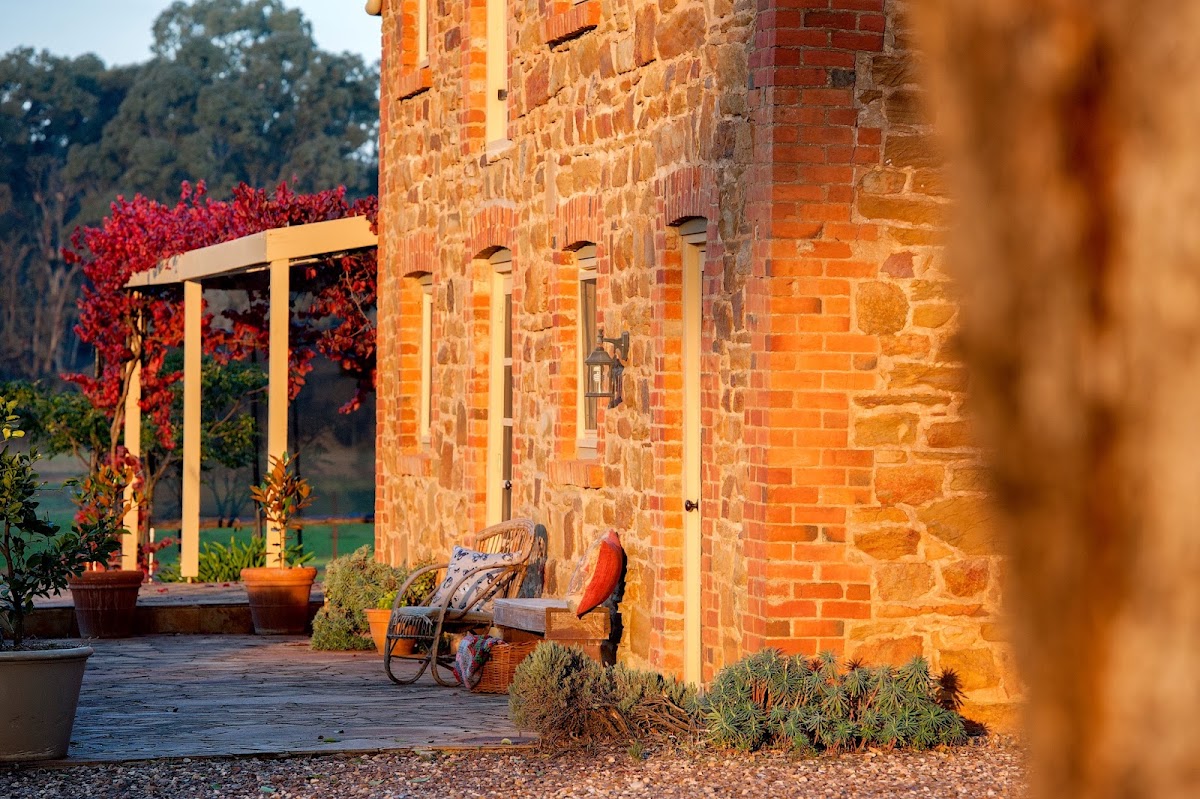 Byronsvale Vineyard & Accommodation Bendigo - Vineyard in Bendigo