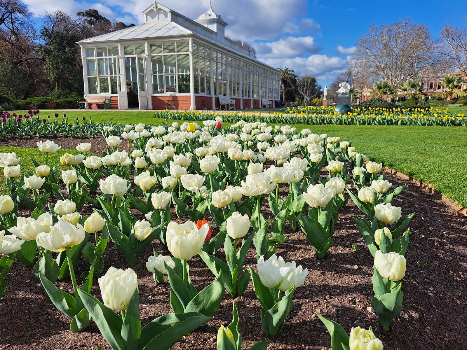 Conservatory Gardens Garden in Bendigo - photo 2