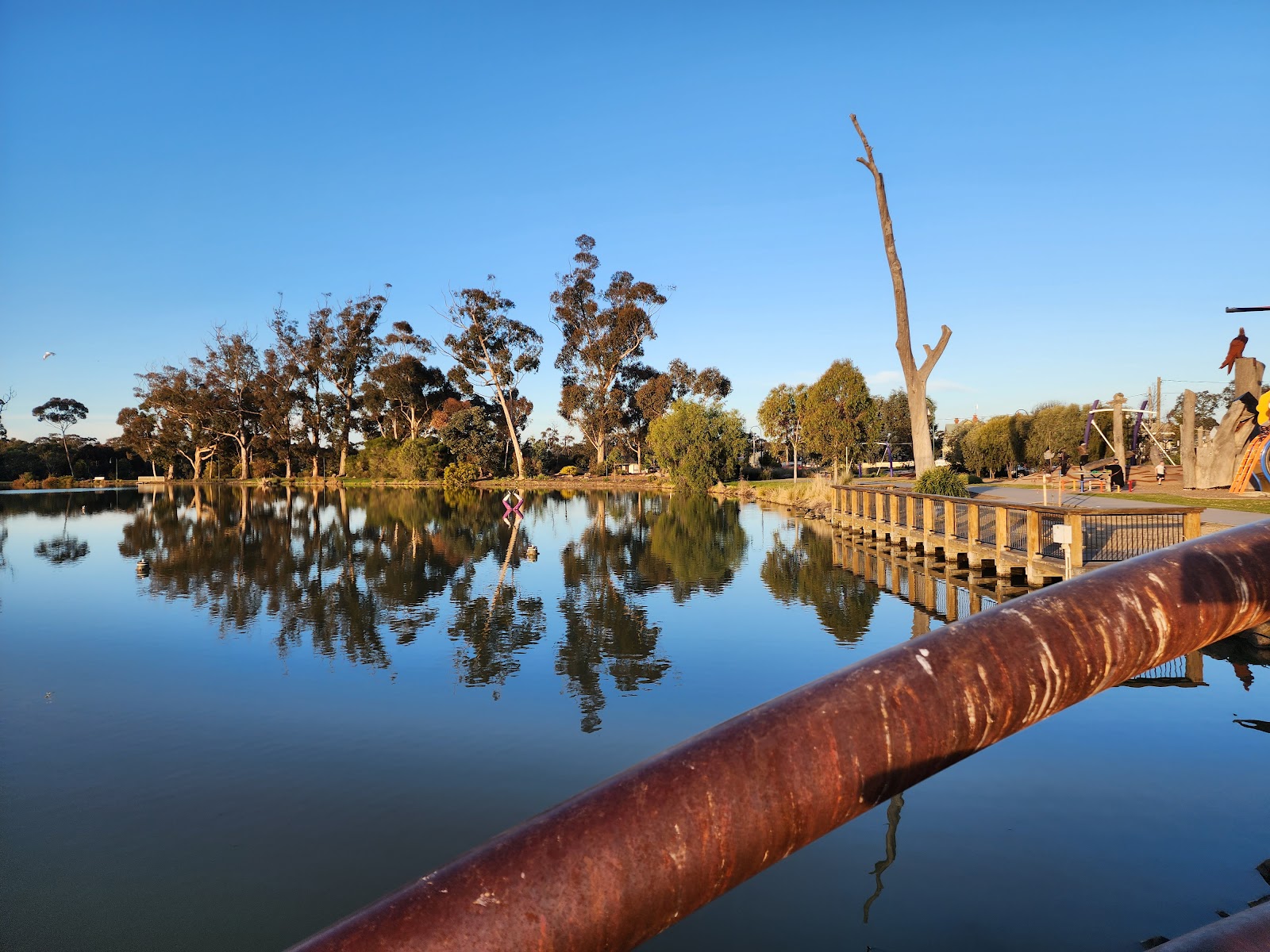 Eaglehawk Open Space Precinct Park in Bendigo - photo 4