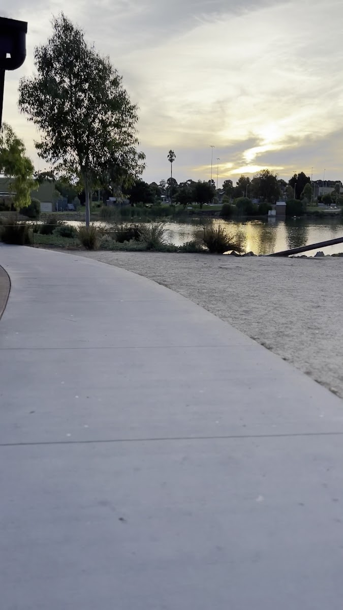 Eaglehawk Open Space Precinct Park in Bendigo - photo 3