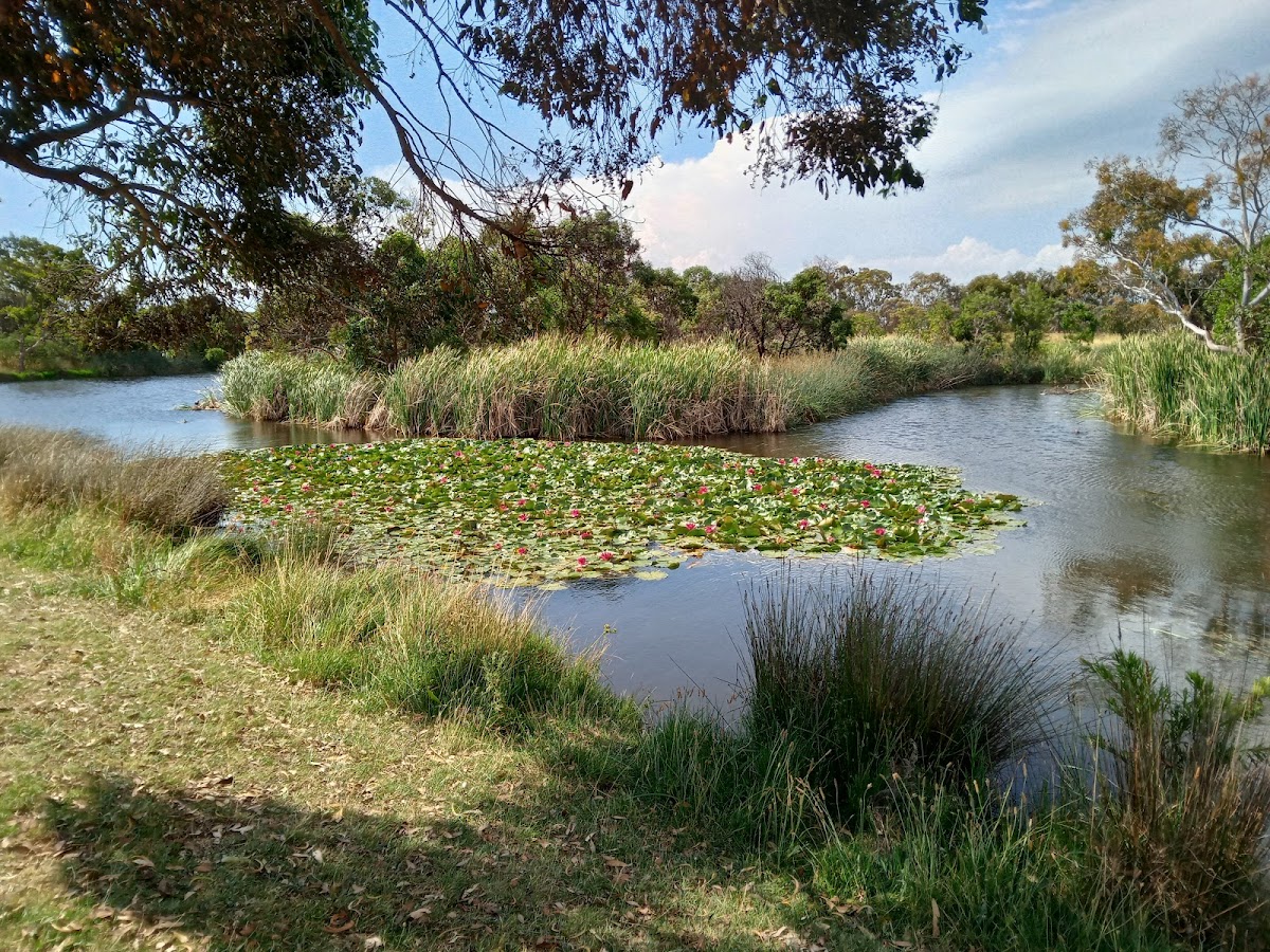 Leopold in Geelong