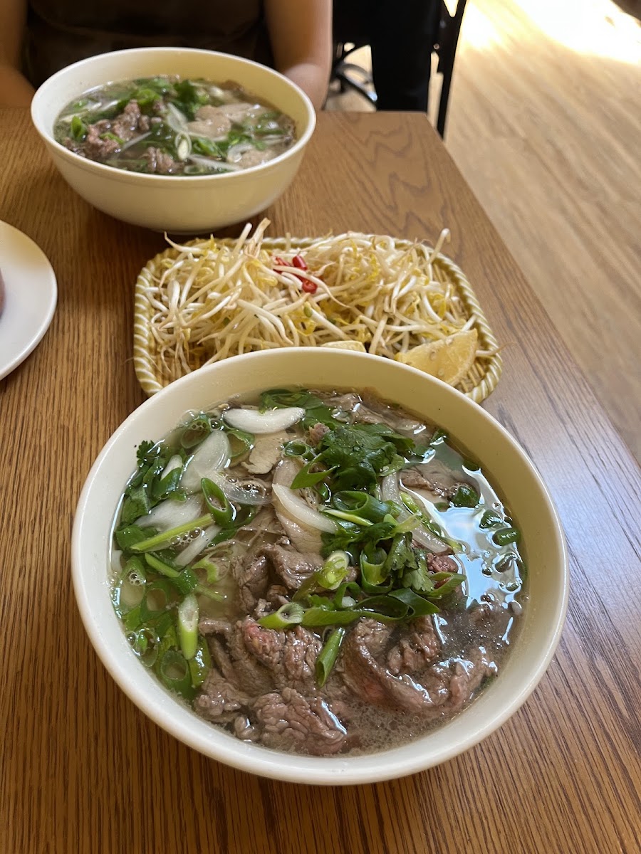 Nem Viet on Mitchell Vietnamese restaurant in Bendigo - photo 2