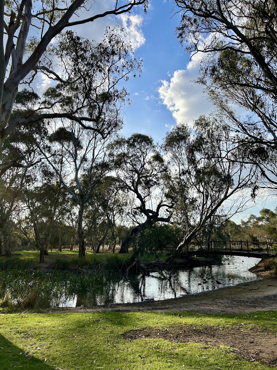 Newtown in Geelong