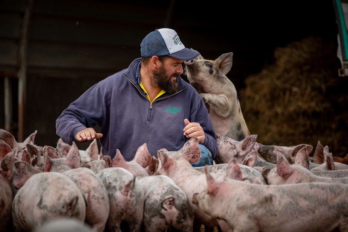 Otway Pork Meat wholesaler in Geelong - exterior