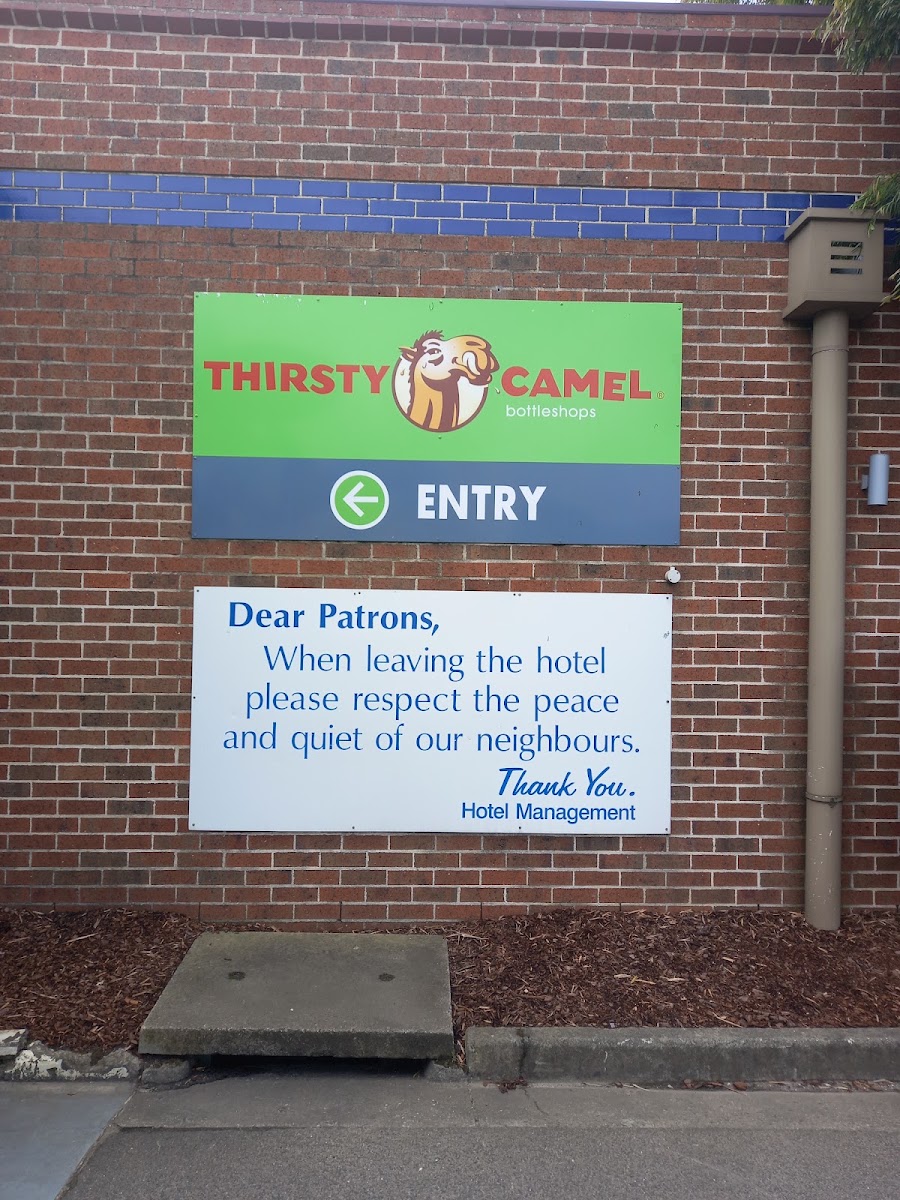 Thirsty Camel